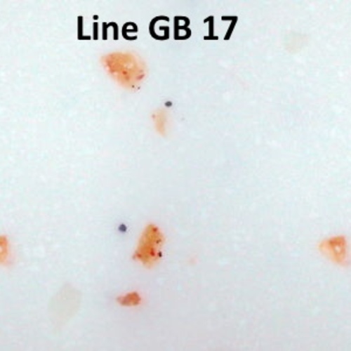 Bienstone line gb 17